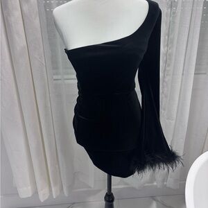 Windsor Black One-Shoulder Dress with Feather Detail